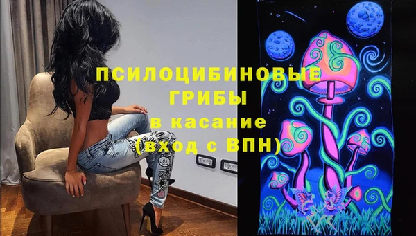 крисы Алексин