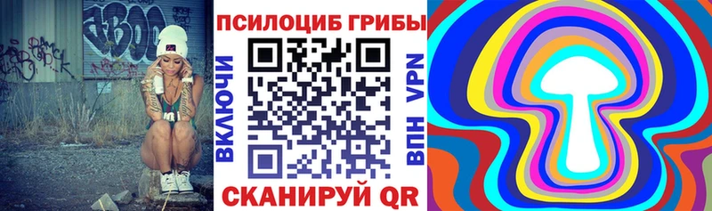 Псилоцибиновые грибы Cubensis  даркнет сайт  Воткинск 